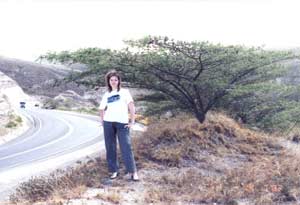 ������������� ������� ����� (2002, ����)